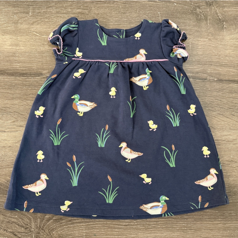 🦆TBBC 18-24M Holly Day Dress Montgomery Mallard EUC